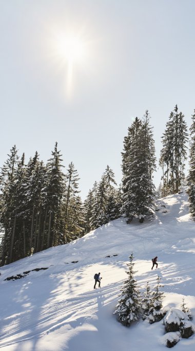 Skitourenabend zur Cilli Hütte | © Dominik Somweber